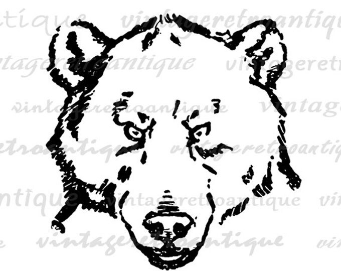 Digital Image Bear Download Face Head Printable Animal Illustration Graphic Vintage Clip Art Jpg Png Eps HQ 300dpi No.863