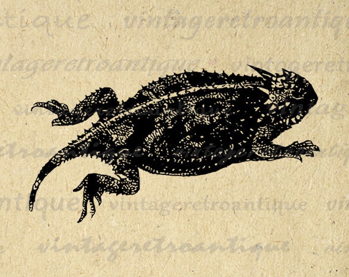 Digital Horned Toad Image Printable Frog Download Illustration Graphic Antique Clip Art Jpg Png Eps HQ 300dpi No.3414