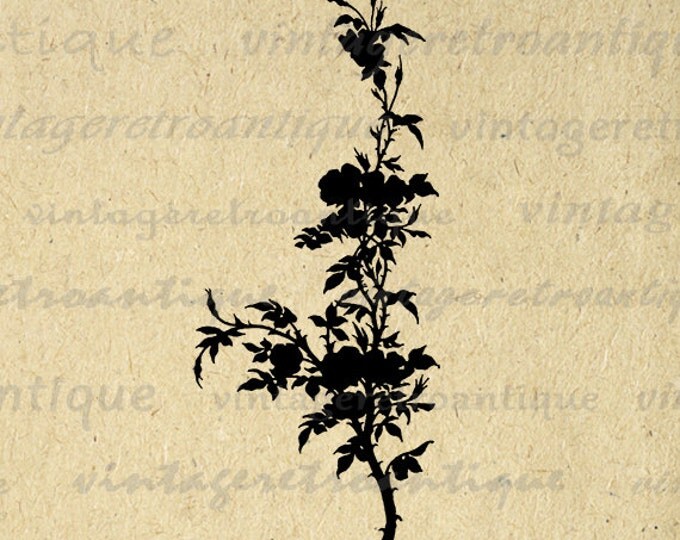 Flower Plant Silhouette Digital Image Download Graphic Printable Vintage Clip Art Jpg Png Eps HQ 300dpi No.3603