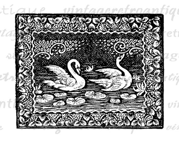 Swans Image Digital Printable Illustration Graphic Birds Download Antique Clip Art Jpg Png Eps HQ 300dpi No.1265