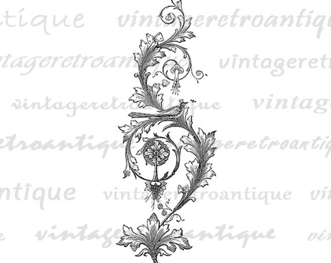 Digital Image Floral Printable Leaf Ornament Graphic Design Download Vintage Clip Art Jpg Png Eps HQ 300dpi No.808