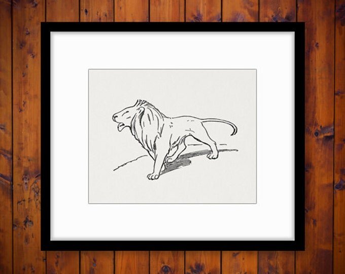 Printable Image Lion Digital Illustration Download Graphic Antique Clip Art Jpg Png Eps HQ 300dpi No.2004