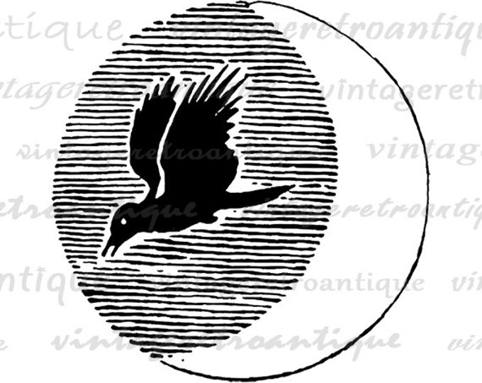 Printable Digital Moon Bird Image Night Graphic Download Vintage Clip Art Jpg Png Eps HQ 300dpi No.856