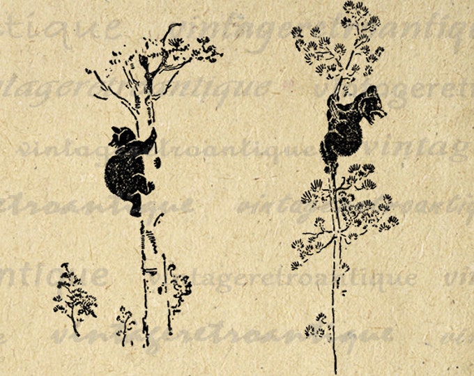 Printable Bears in Trees Graphic Download Cute Bear Cub Digital Blackbear Image Vintage Clip Art Jpg Png Eps HQ 300dpi No.923