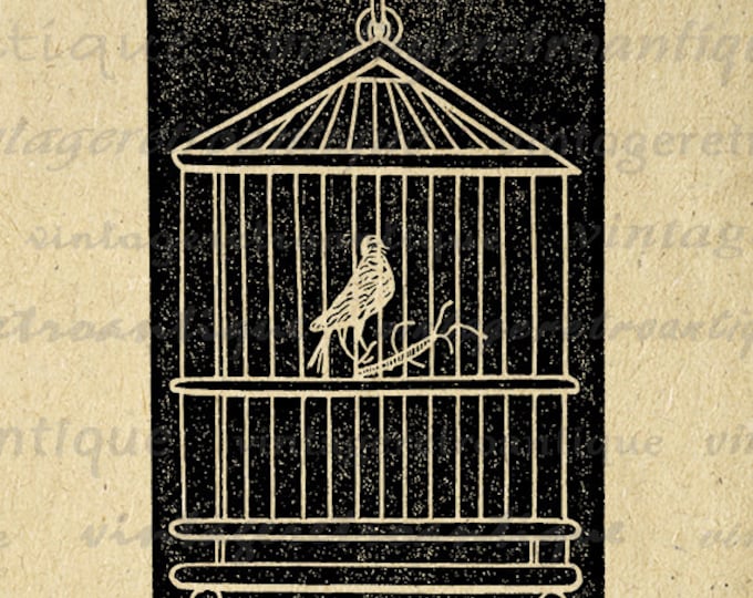 Birdcage with Bird Graphic Printable Digital Image Download Illustration Jpg Png Eps HQ 300dpi No.2745