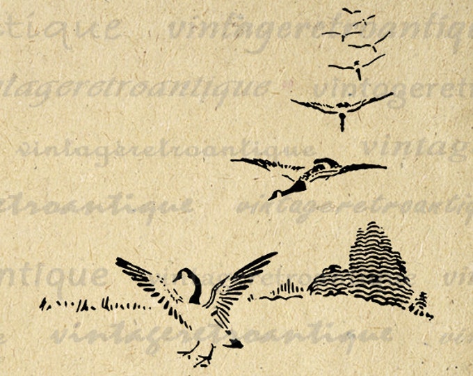 Printable Image Flying Geese Graphic Bird Digital Illustration Download Jpg Png Eps HQ 300dpi No.951