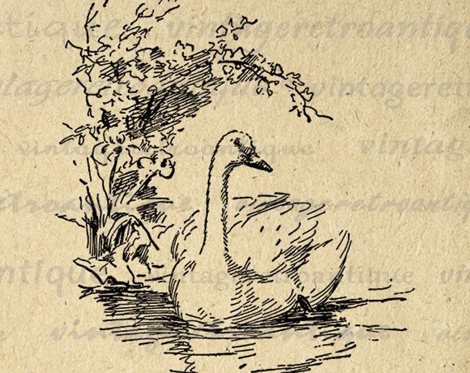 Printable Duck Graphic Image Illustration Download Bird Digital Antique Clip Art Jpg Png Eps HQ 300dpi No.3775