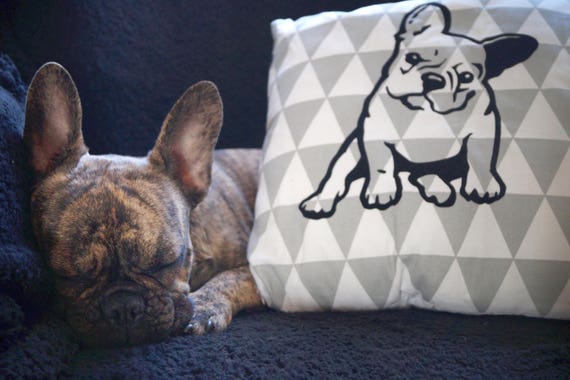 frenchie dog pillow