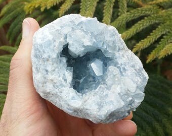 LARGE Celestite Geode Crystal Cluster Calming Blue Celestine Healing Crystals | 1lb 2.1 oz | Healing Stones | Crystal Specimen - 1092