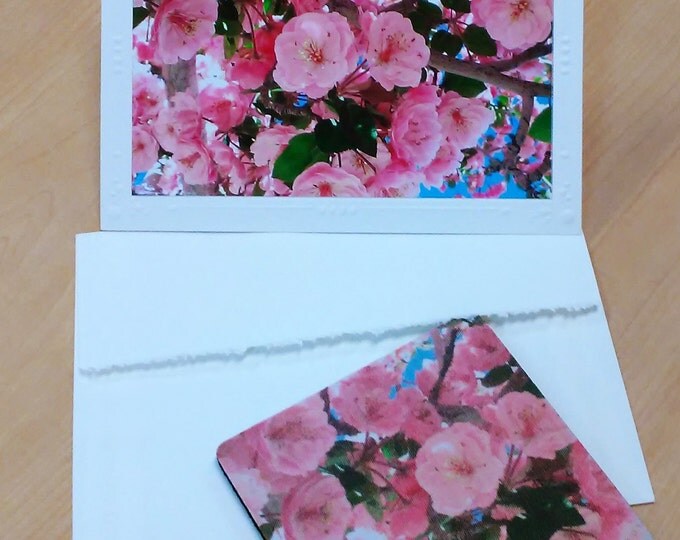 PINK FLORAL COASTER Gift Set by Pam Ponsart of Pam's Fab Photos; part of her "Forget Me Not" Collection featuring the Crabapple Tree