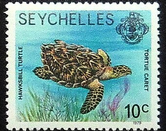 Hawksbill sea turtle, Tortue Caret -Handmade Framed Postage Stamp Art 20797AM