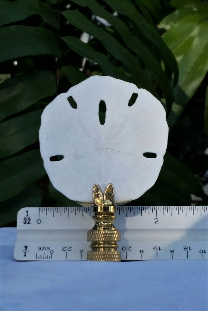 Lamp Finial, Sand Dollar, Off White, Small, Medium, Large, Table Lamp