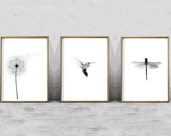 Set of 3 Prints Botanical Illustration Dandelion Hummingbird Dragonfly Minimalist Posters Printable Scandinavian Modern Art Nordic Nature