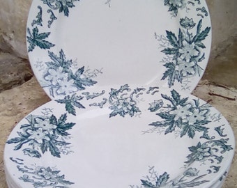6 vintage French faïence plates, St Amand-Nord 'Anemone' design.