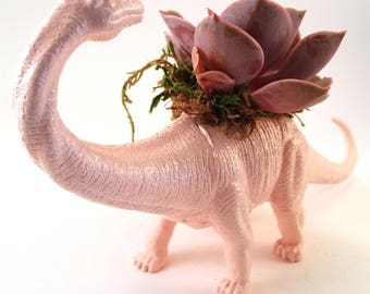 Brontosaurus Dinosaur Planter + Succulent \\ Succulent Planter \\ Home Decor \\ Gift \\ Office Decor \\ Desk Plant