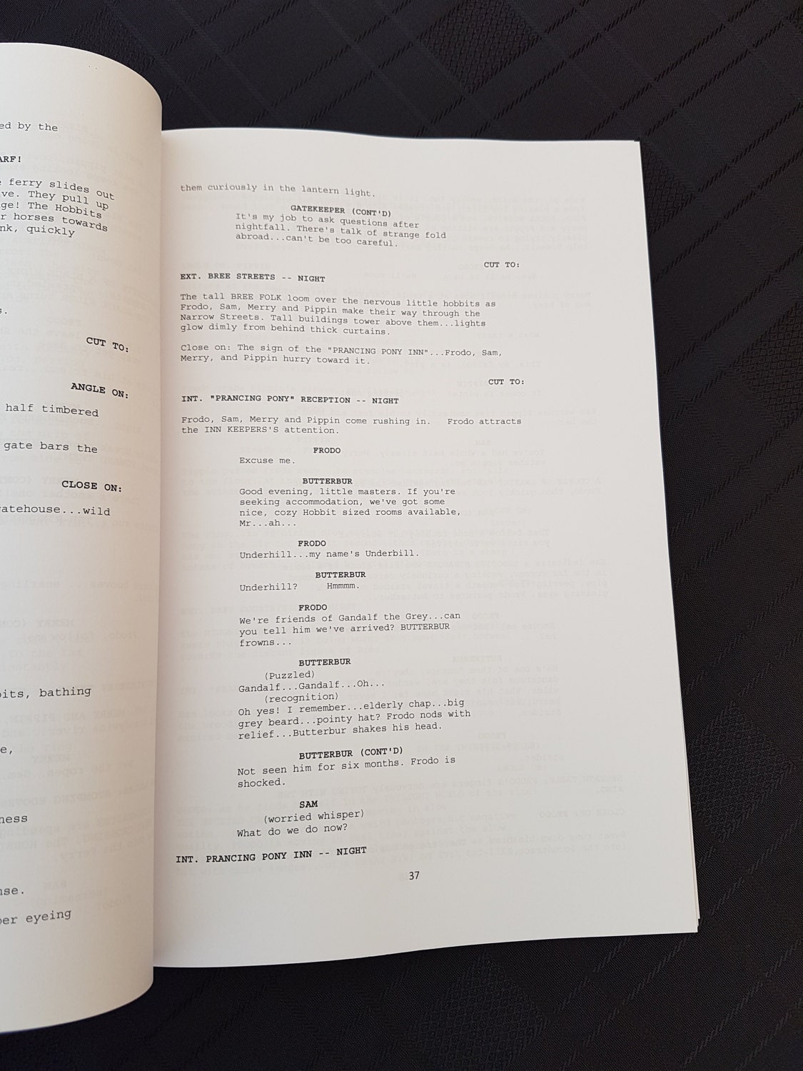 Lord Of The Rings Fellowship Of The Ring Script Lord of the Rings: Fellowship of the Ring Film Movie Script