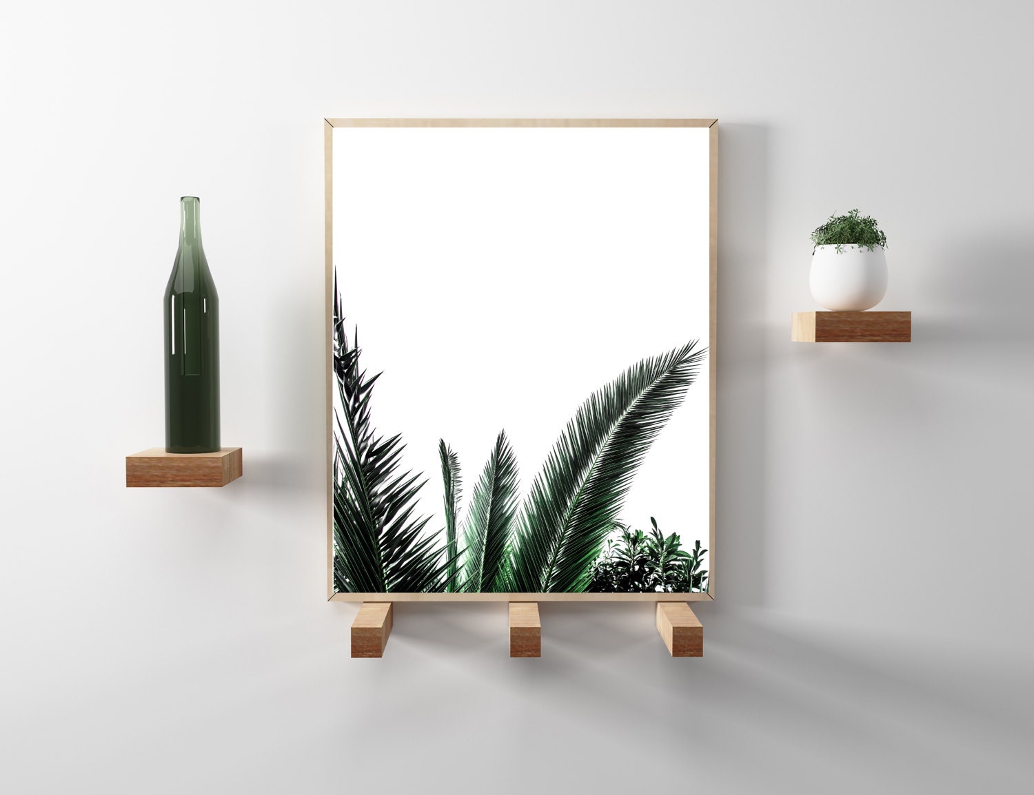 Palm tree minimalist  nature  photography Modern  scandinavian