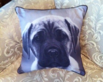 Vintage Pillow Cover - English Mastiff Dog - Decorative Throw Pillow Case - Gift for the Dog Lover