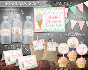 Ice Cream Party Pack Package, Popsicle Party Pack Package, Party Kit, Ice Cream Birthday Bundle, Pink Mint, Instant Download Editable #636