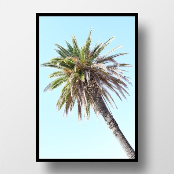 Palm Tree Wall Art palm tree print palm tree wall art palm tree decor tropical Palm Tree Wall Art palm tree print palm tree wall art palm tree decor tropical