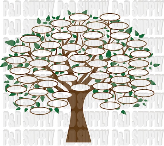 Free Free 111 Free Svg Of Family Tree SVG PNG EPS DXF File