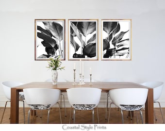 Set Of 3, Black and White Prints, Banana Leaves Print, Designer Wall Art, Tropical, Print, Botanical Art, Posters, Prints, Palm Leaves, #143