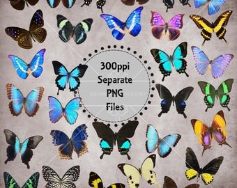 Beautiful Butterfly Overlays, Separate PNG Files with Transparent Backing, High Resolution, Instant Download.