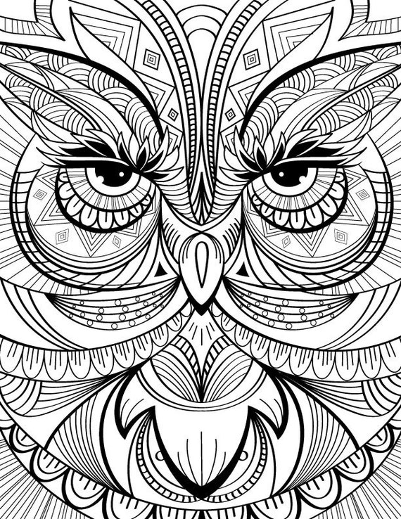 hibou coloriage page au calme detente et