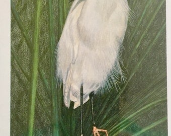 Signed PRINT SNOWY EGRET