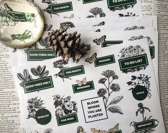 Bloom Where You Are Planted Planner Stickers