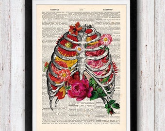 Rib Cage With Flowers Illustration Bones Human Anatomy