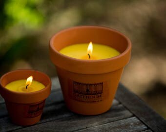 Large Citronella Terracotta Flower Pot