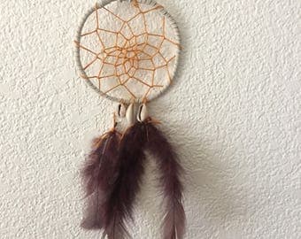Dream Catcher, Shelly Shurburt, RayeCatcher