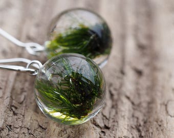 Moss Earrings, Resin Earrings, Sterlin Silver Moss, Resin Ball Earrings, Woodland Earrings, Botanical, Forest Jewelry