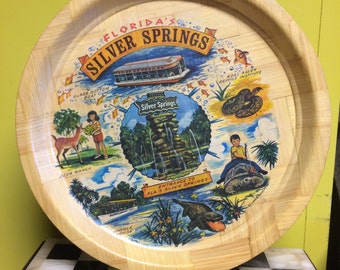 Vintage Pressed Bamboo "Florida's Silver Springs" Tray