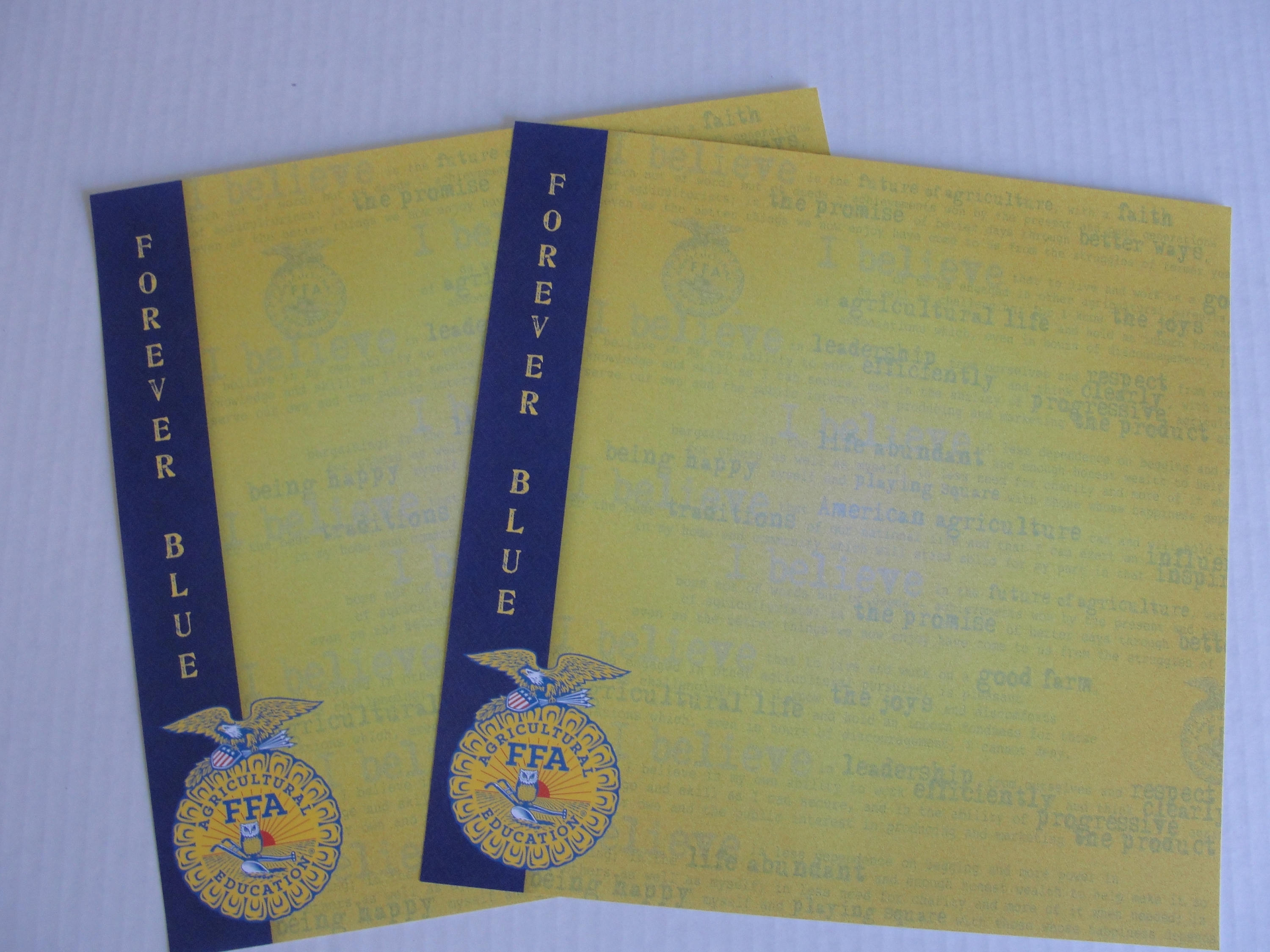 New FFA 12x12 Forever Blue acid free scrapbook paper from