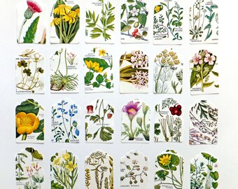Botanical Gift tags, Hang tags, Scrapbook embellishments, card making supplies, Eco-friendly Gift wrapping, Labels