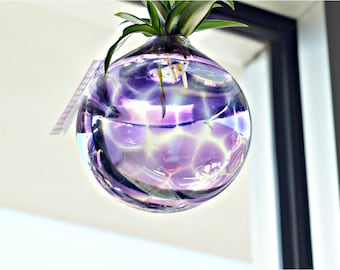 Purple Terrarium, Blown Glass Terrarium, Blown Glass Planter, Spider Plants, Glass Art