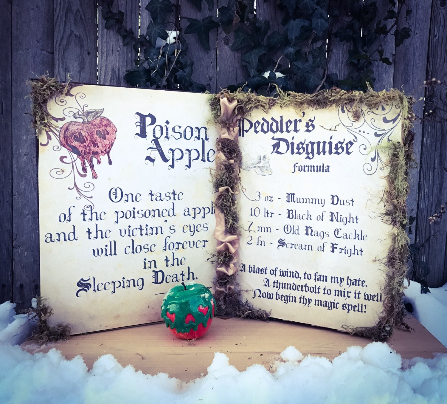 Evil Queen Snow White Spellbook with or without Poison Apple