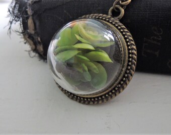 Succulent Terrarium Necklace Glass Cloche Dome Necklace Miniature Garden Jewelry Botanical Nature Inspired Glass Dome Pendant Gift for Her