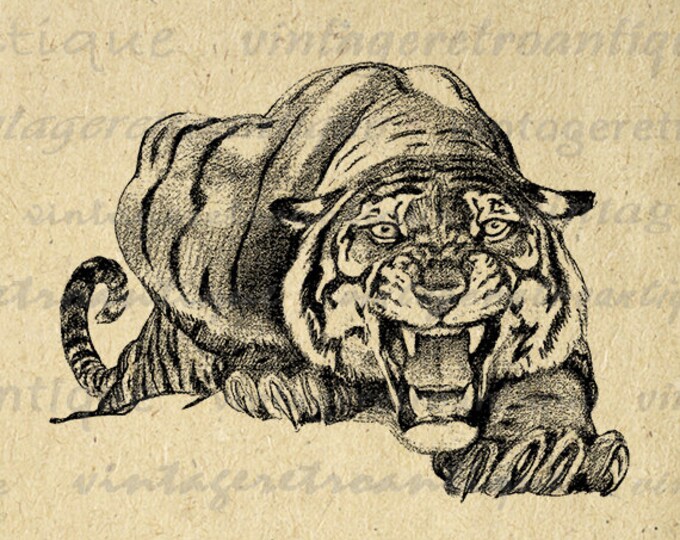 Printable Image Digital Tiger Graphic Printable Tiger Cat Download Antique Artwork Digital Vintage Clip Art Jpg Png Eps HQ 300dpi No.182