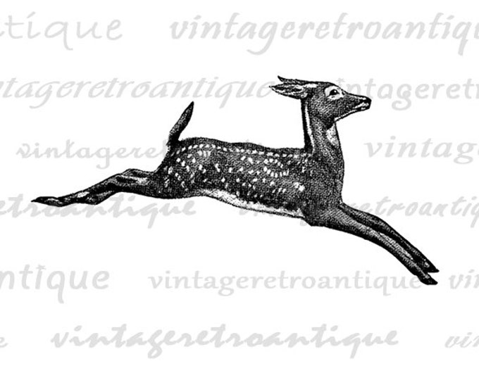 Leaping Deer Digital Graphic Deer Digital Image Download Animal Printable Deer Vintage Clipart Antique Clip Art Jpg Png Eps HQ 300dpi No.714