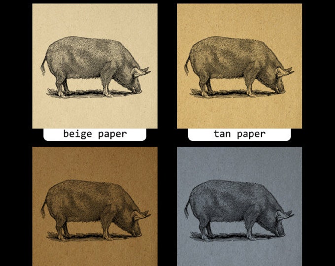 Pig Graphic Image Download Illustration Printable Digital Antique Clip Art Jpg Png Eps HQ 300dpi No.3141