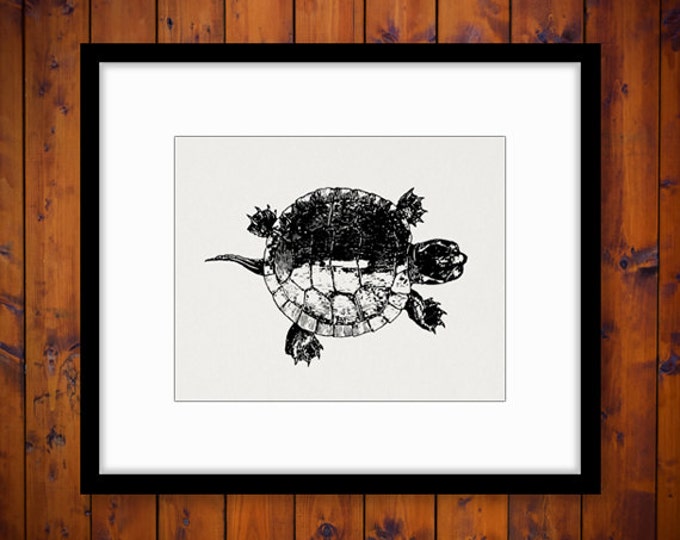 Printable Tortoise Turtle Graphic Download Illustration Digital Image Vintage Clip Art Jpg Png Eps HQ 300dpi No.3097