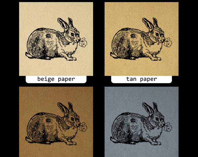 Printable Image Rabbit with Leaf Graphic Cute Bunny Digital Download Antique Clip Art Jpg Png Eps HQ 300dpi No.3489