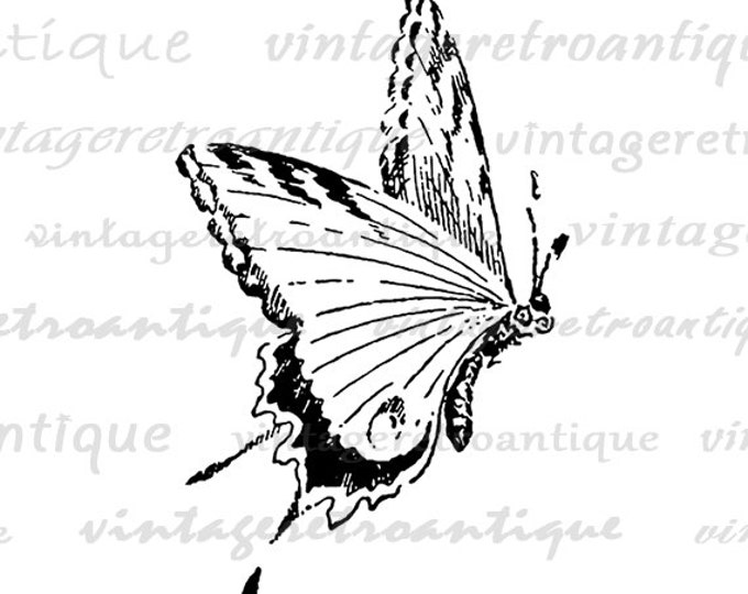 Printable Flying Butterfly Image Graphic Download Digital Artwork Vintage Clip Art Jpg Png Eps HQ 300dpi No.2541