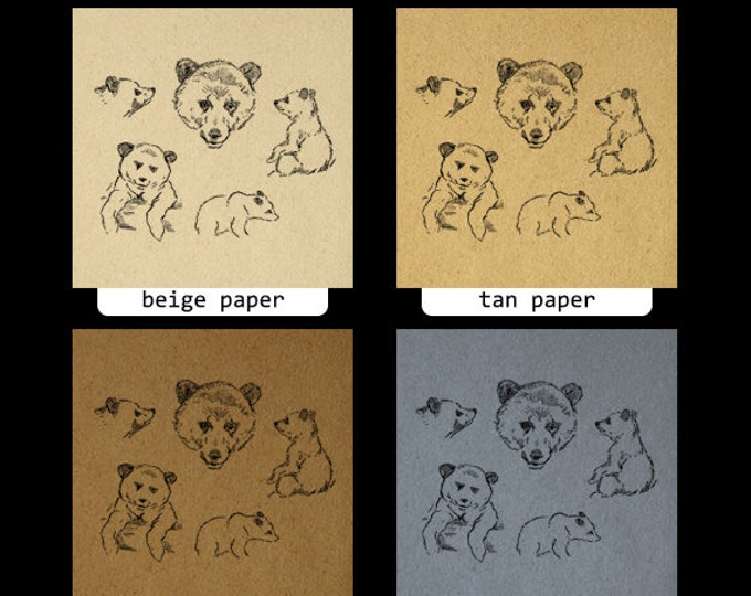 Antique Bear Cub Graphic Digital Printable Collage Sheet Download Image Vintage Clip Art Jpg Png Eps HQ 300dpi No.1143