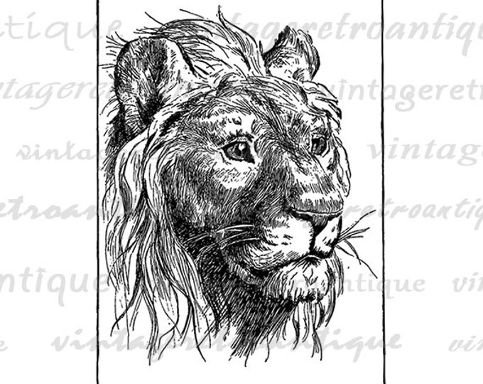 Digital Graphic Antique Lion Printable Cat Image Download Jpg Png Eps HQ 300dpi No.445