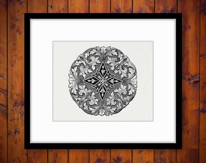 Digital Floral Leaf Design Element Graphic Image Ornament Emblem Download Printable Vintage Clip Art Jpg Png Eps HQ 300dpi No.706