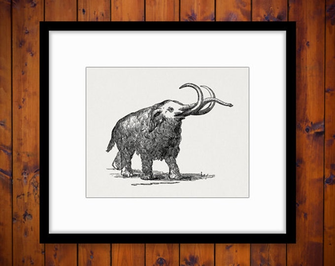 Woolly Mammoth Digital Graphic Printable Image Illustration Download Vintage Clip Art Jpg Png Eps HQ 300dpi No.2854